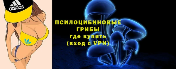 прущие грибы Горно-Алтайск