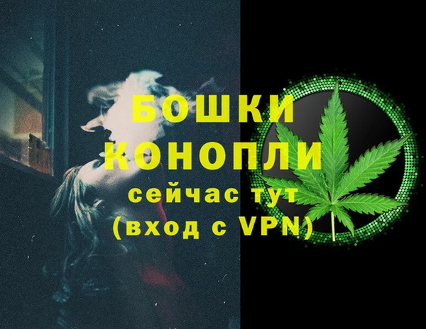 прущие грибы Горно-Алтайск