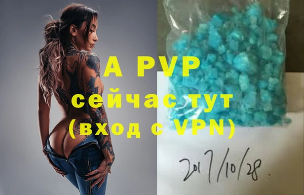 прущие грибы Горно-Алтайск