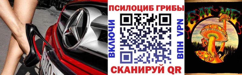 Купить где  Кстово  Псилоцибиновые грибы прущие грибы 